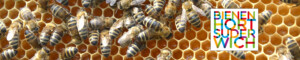 Bienenpatenschaften Bienenhort Suderwich Recklinghausen Honigbienen